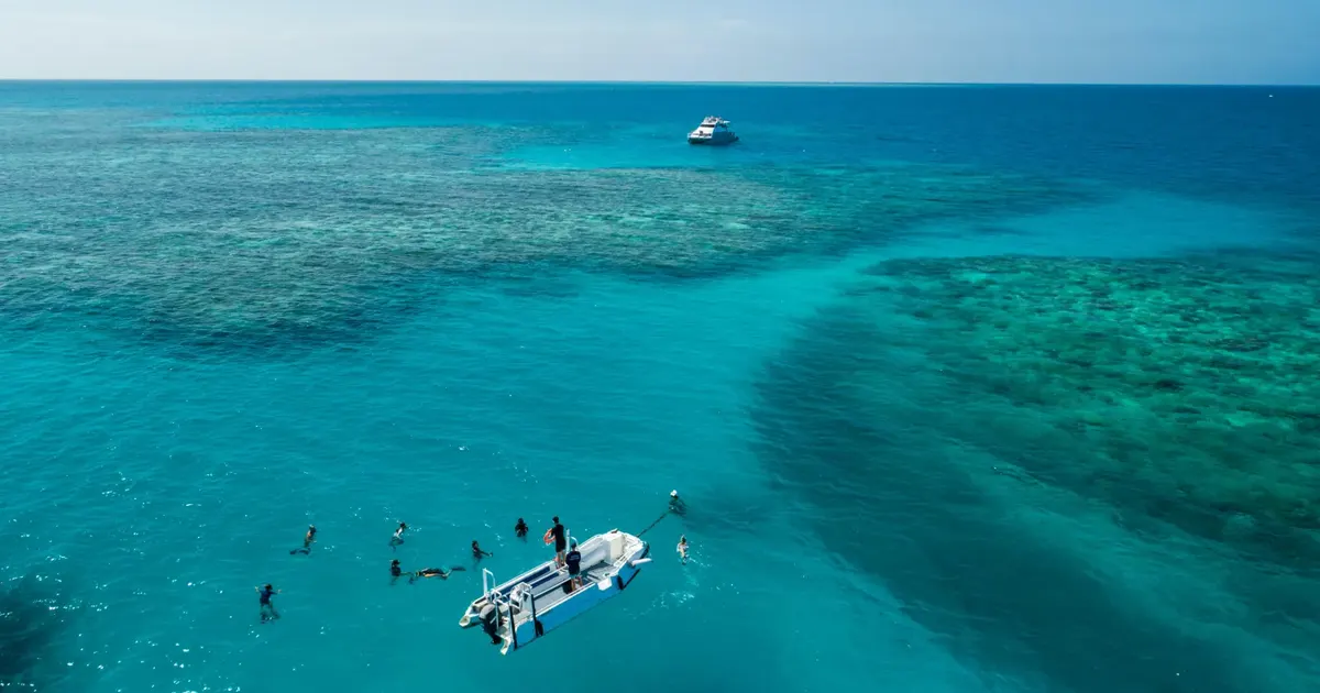 Snorkellers and a dive tender floating over shallow outer reef coral off Cairns