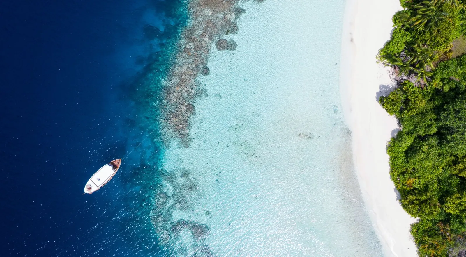 Aerial view of a small boat over deep blue water beside a white beach and forest