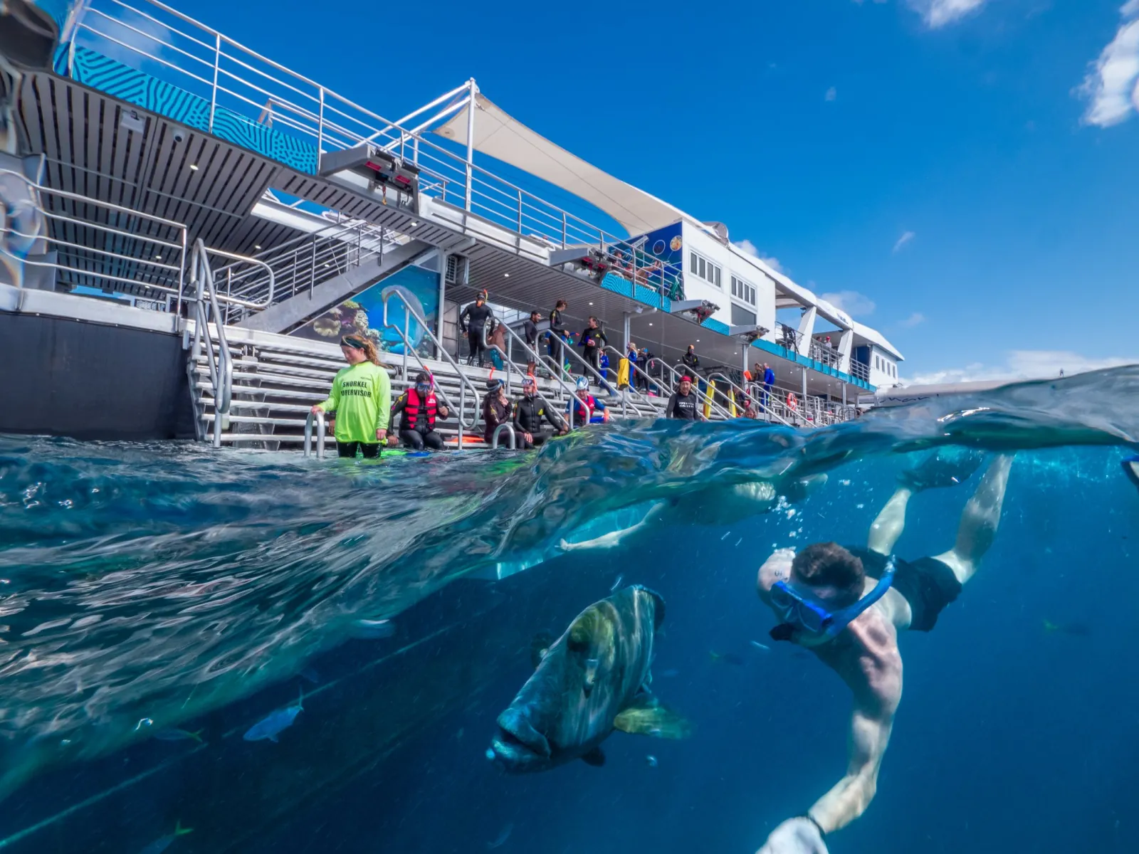 Snorkellers swimming beside the pontoon