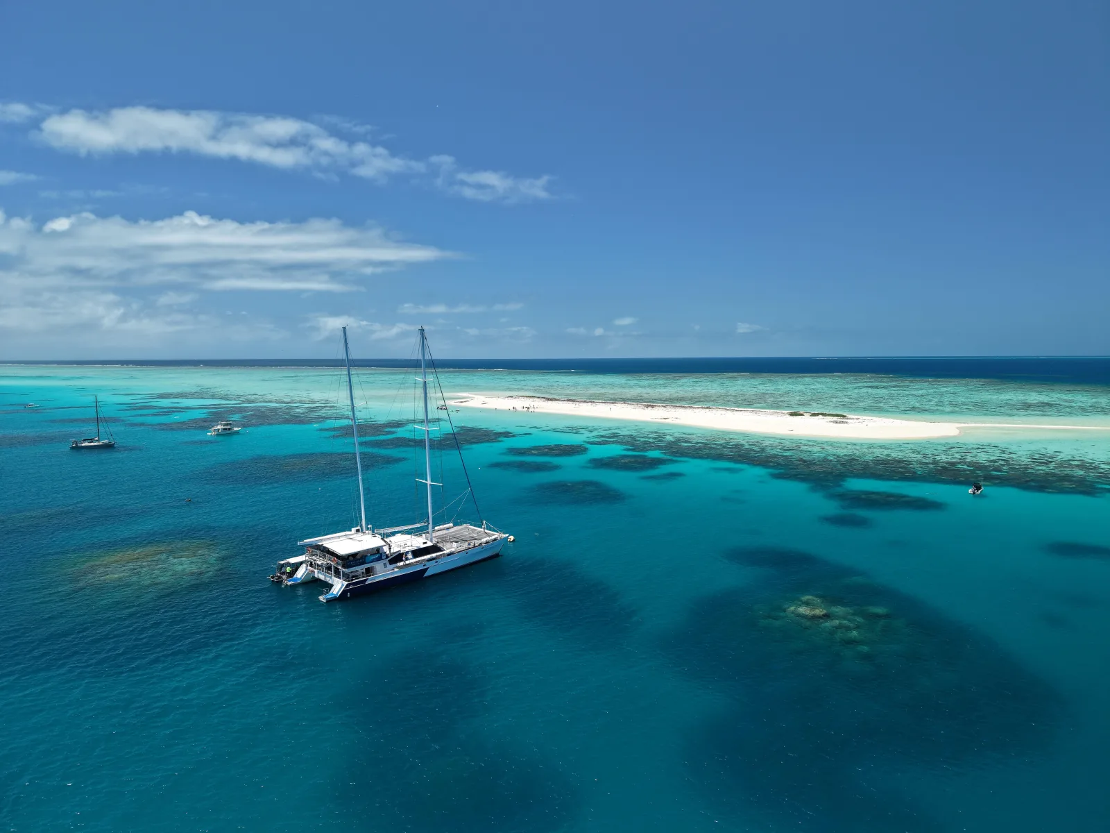 Michaelmas Cay and Great Barrier Reef Full-Day Snorkel