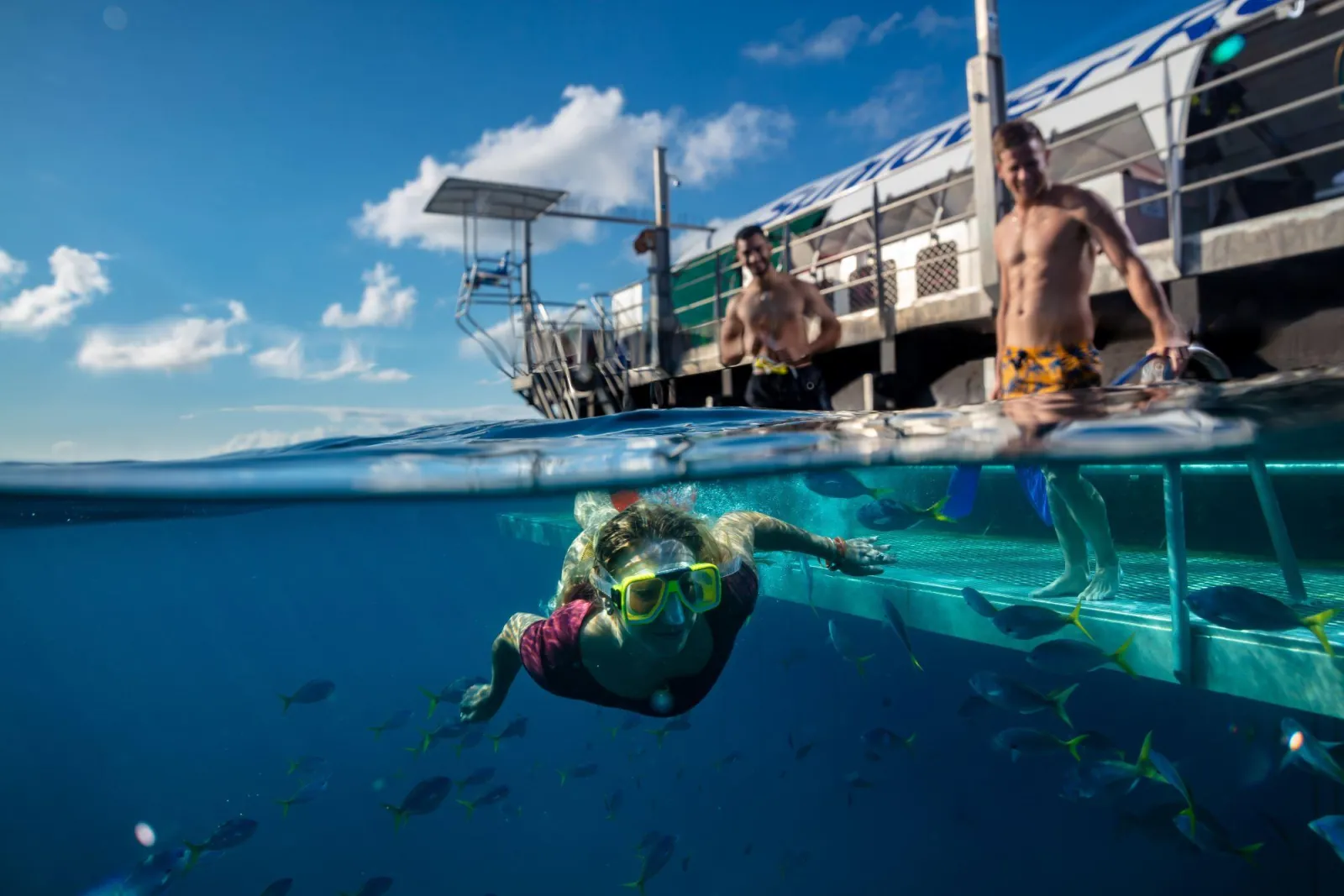 Snorkeller swimming beneath the pontoon
