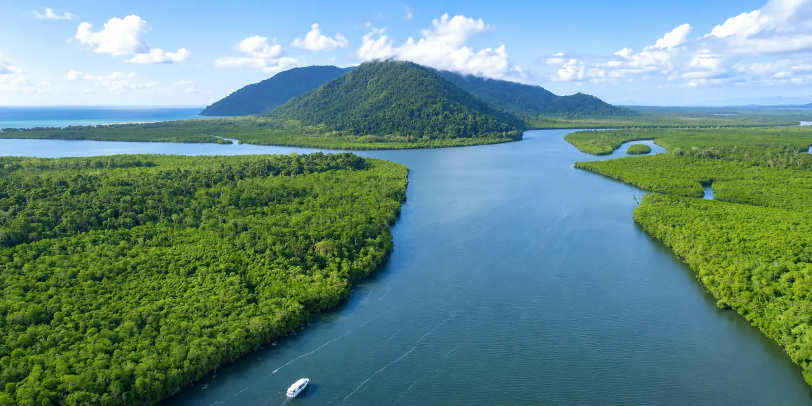 River winding through mangroves to the coast