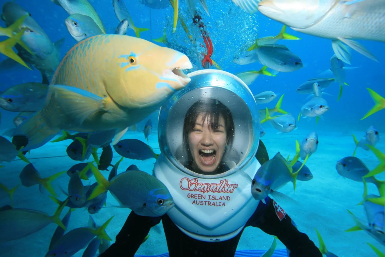 Helmet diver surrounded by fish underwater