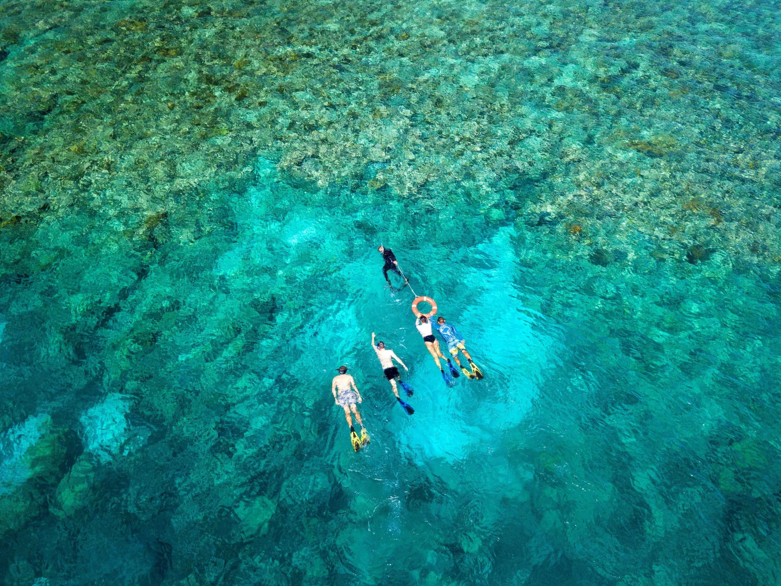 Aerial view of snorkellers over the reef