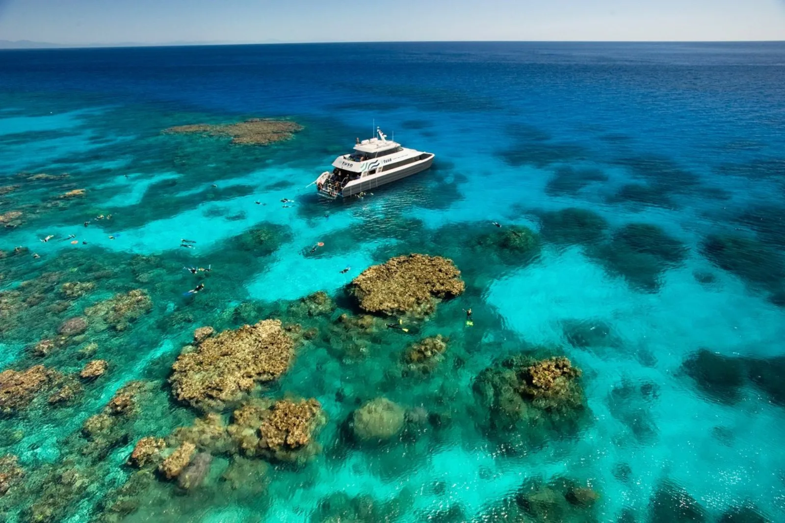 Premium Half-Day Outer Reef Snorkel Tour from Cairns