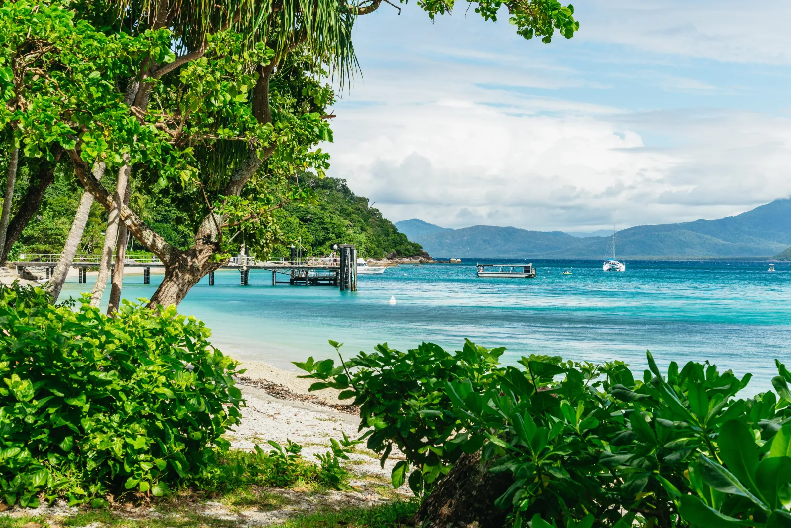 Fitzroy Island beach framed by tropical trees
