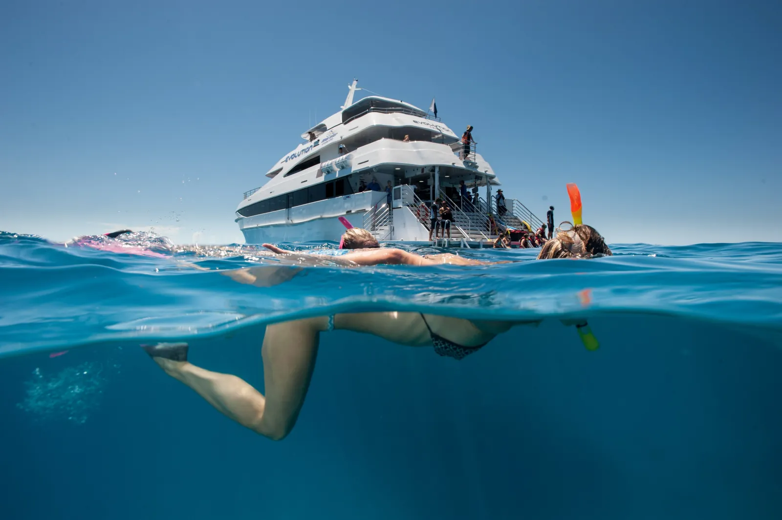 Reef cruise boat moored with a swimmer below