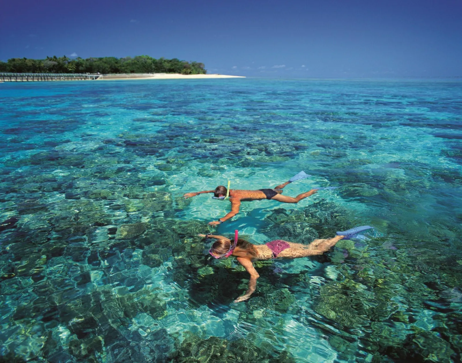 Snorkellers over the reef flat off Green Island