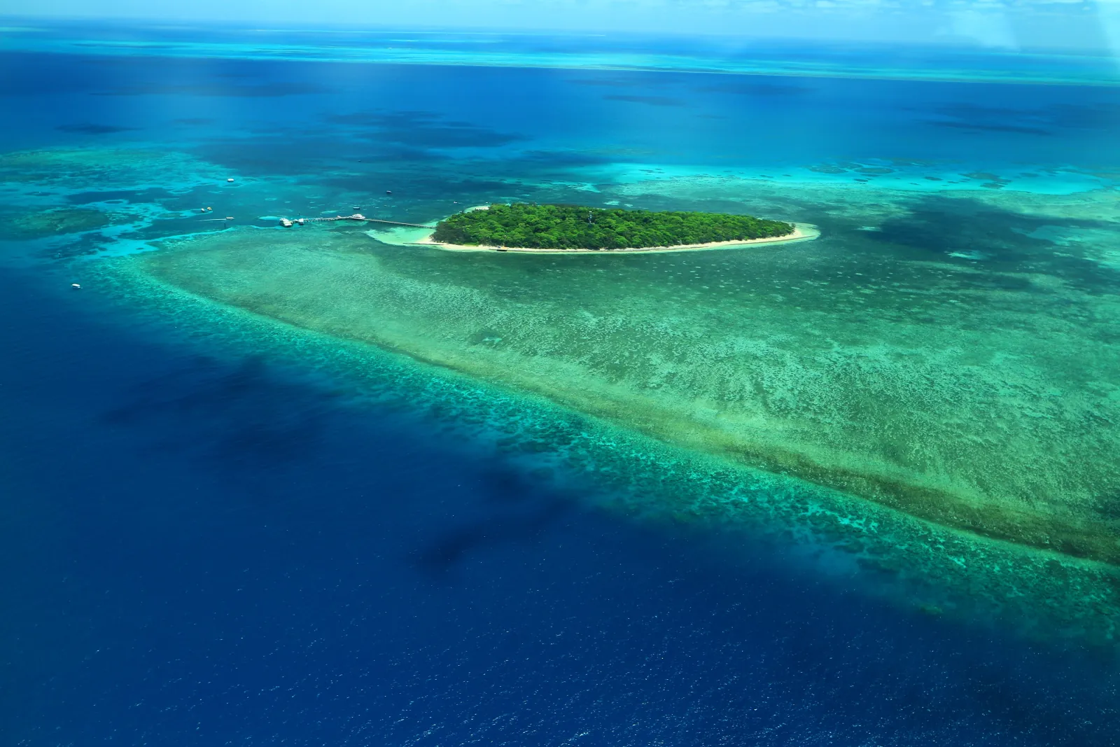 Aerial view of a coral cay ringed by reef