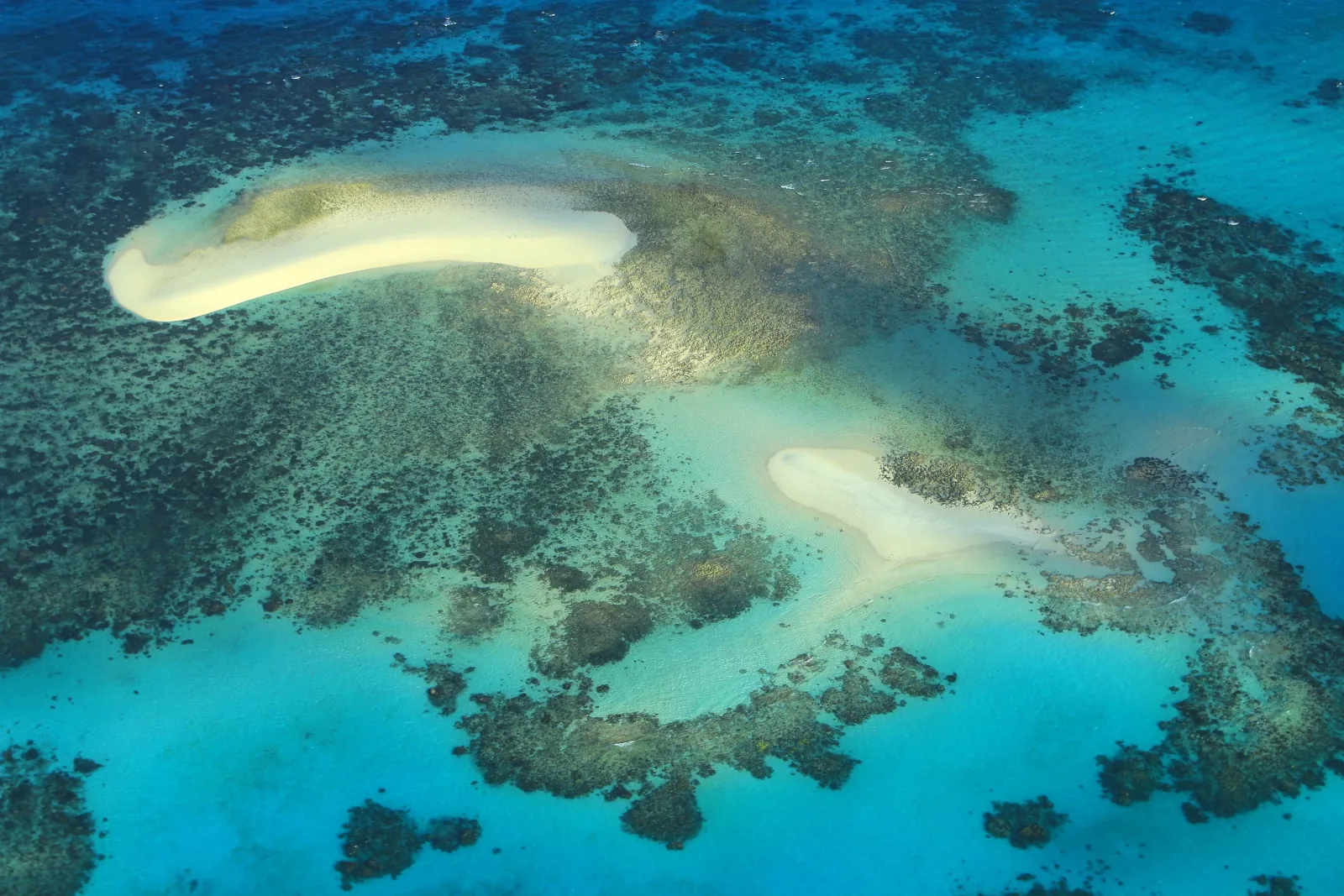Aerial view of a sand cay on a reef flat