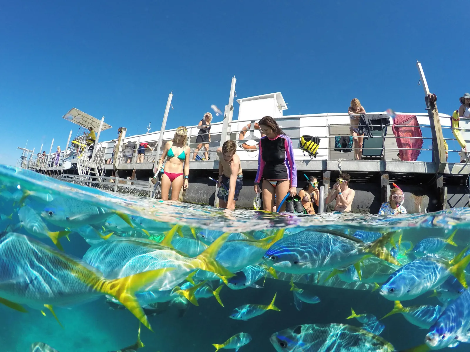 Pontoon deck with fish swimming below