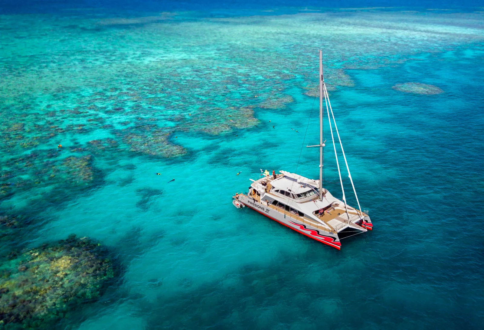 Great Barrier Reef Cruise by Premium Catamaran from Cairns