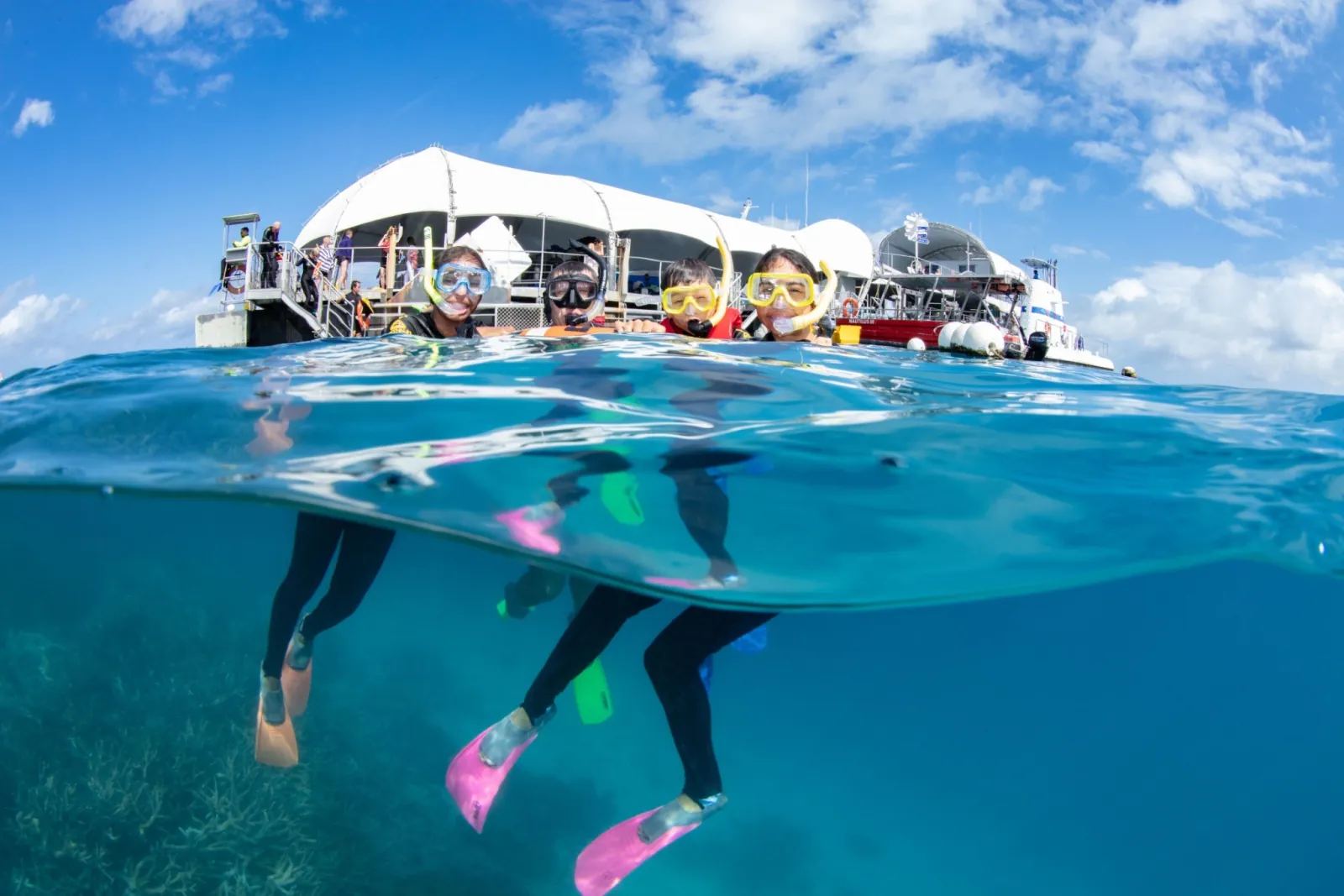 Pontoon deck with snorkellers below the surface