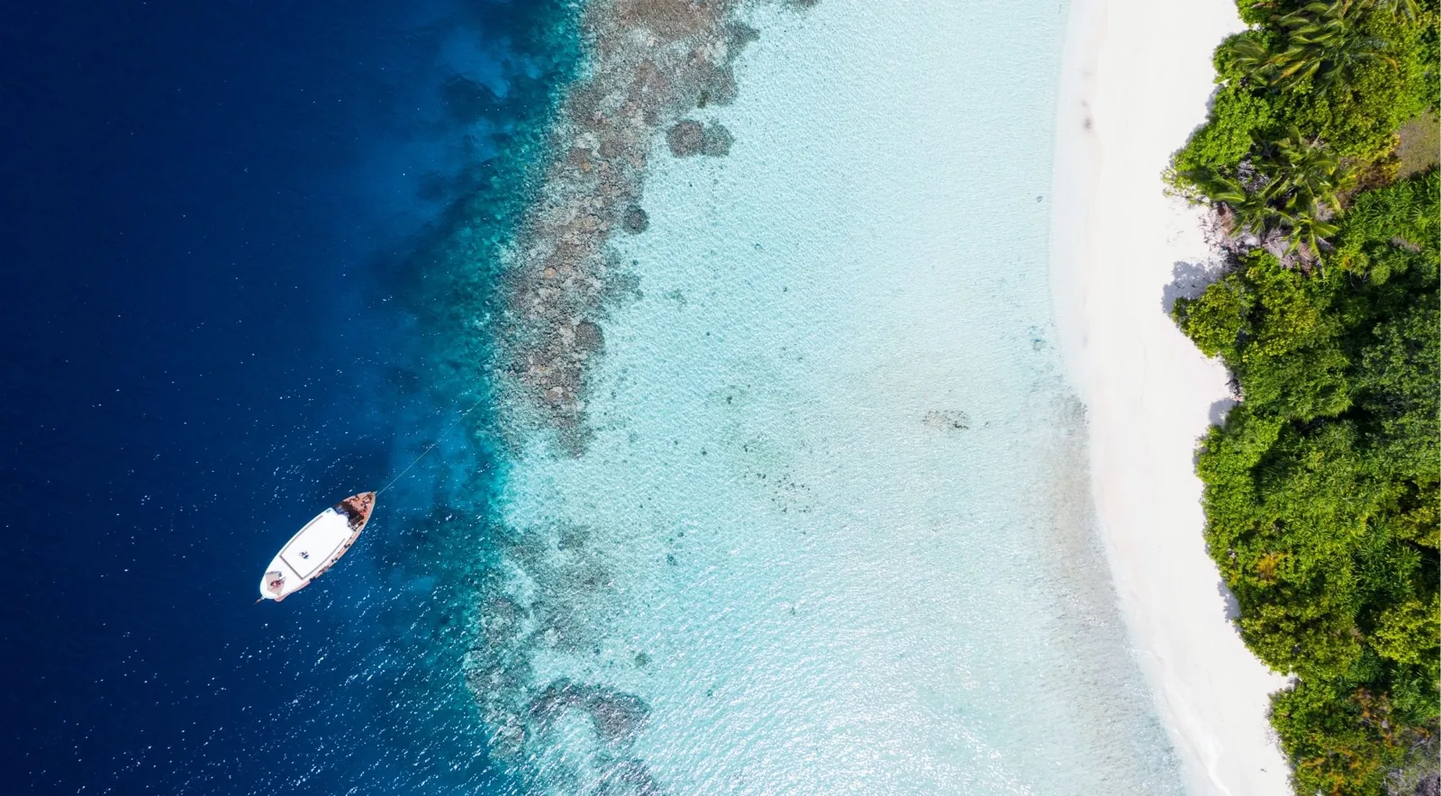 Aerial view of deep blue water, fringing reef and a white beach edged with forest, the kind of view a low reef flight gives