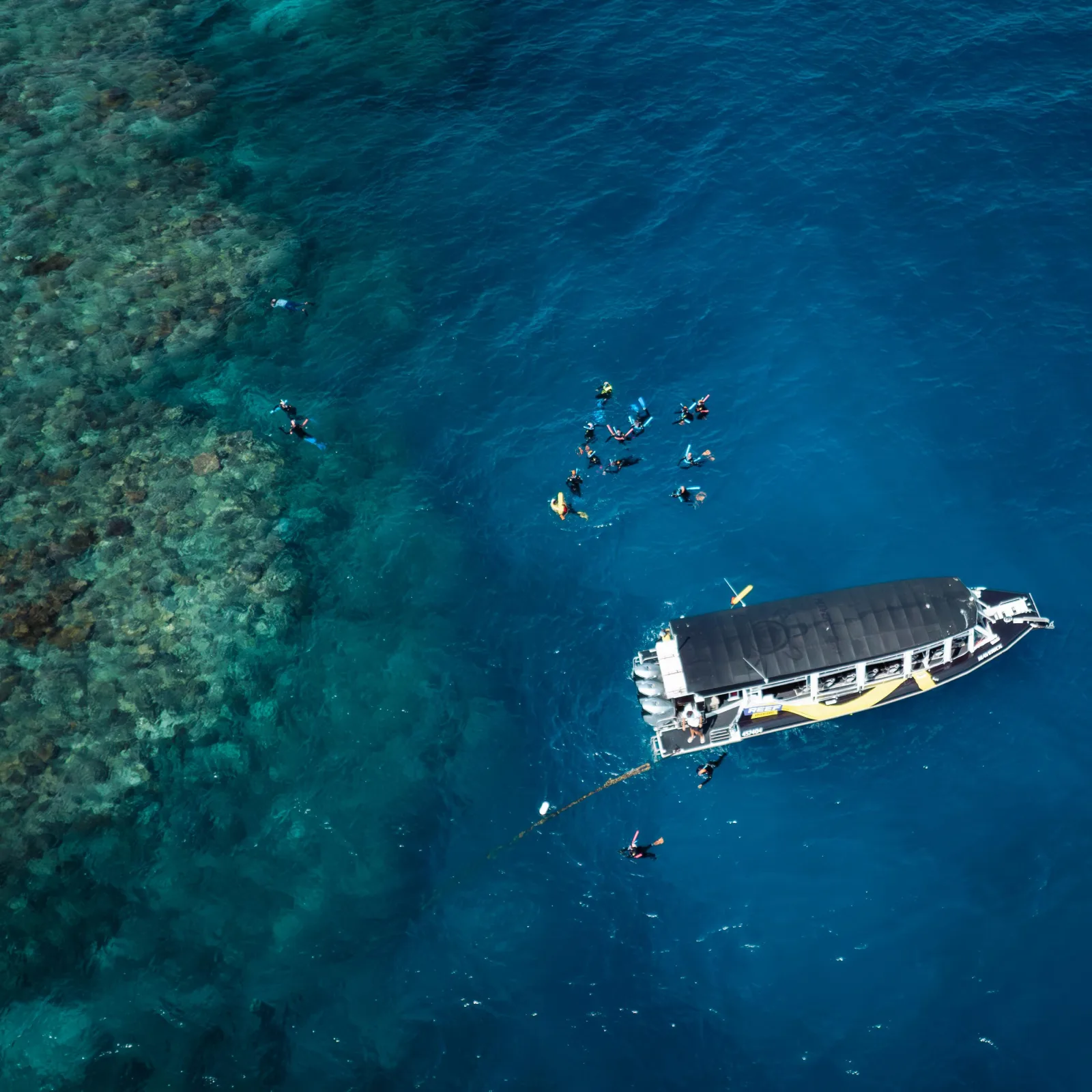 Great Barrier Reef Half-Day Snorkelling Tour from Cairns