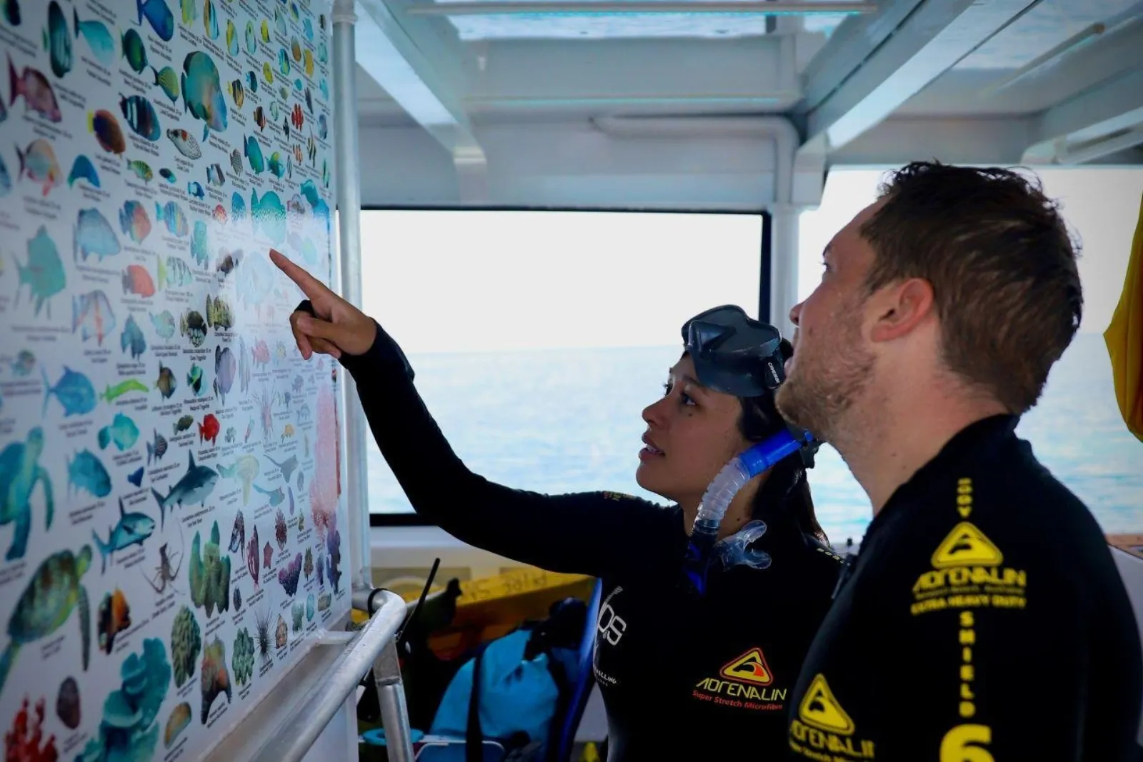 Marine biologist pointing to a reef identification chart