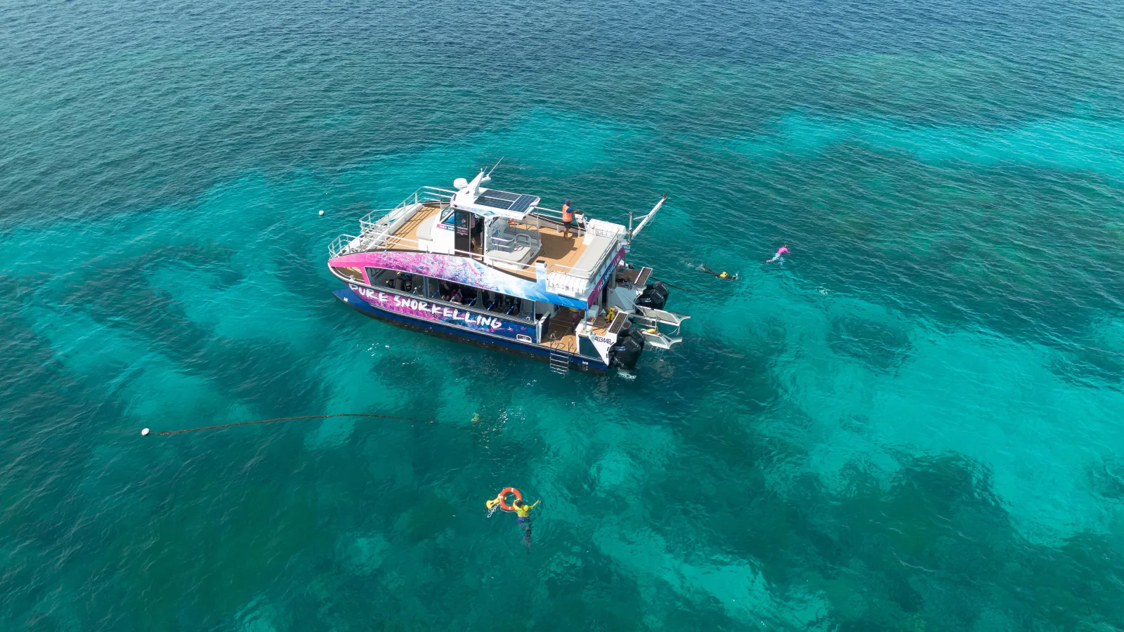 All-Inclusive Half-Day Reef Snorkelling Trip from Cairns