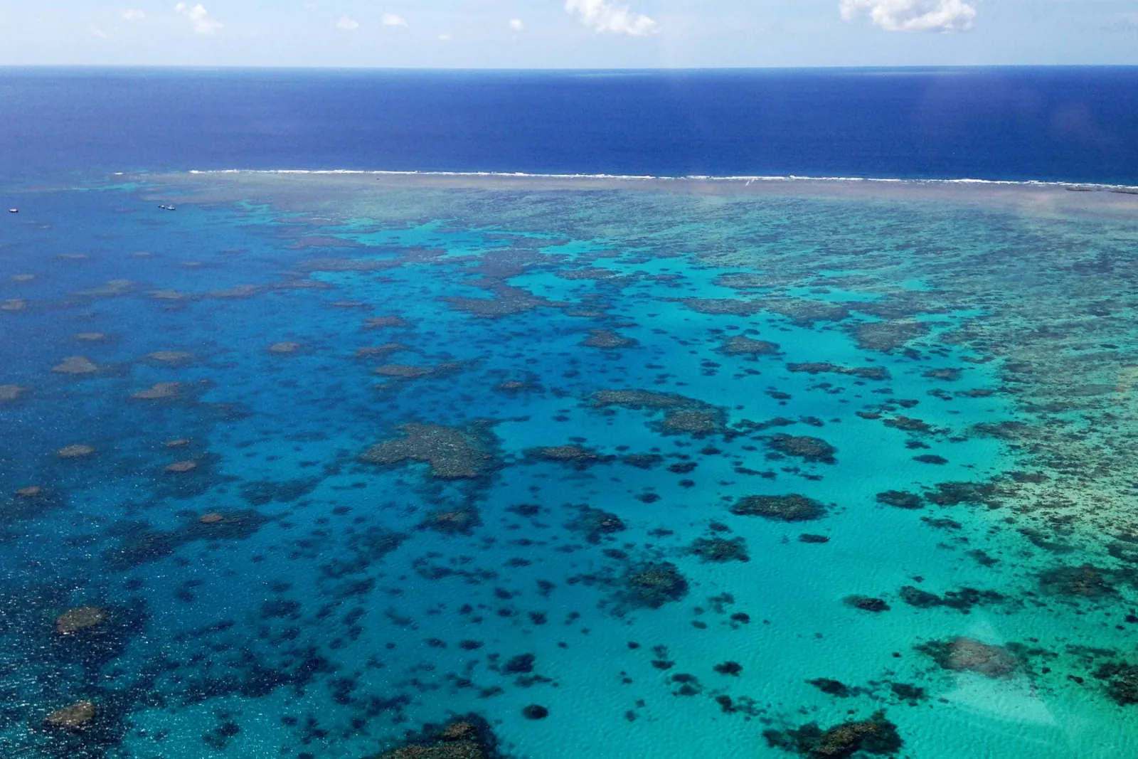 Outer reef stretching to the horizon from the air