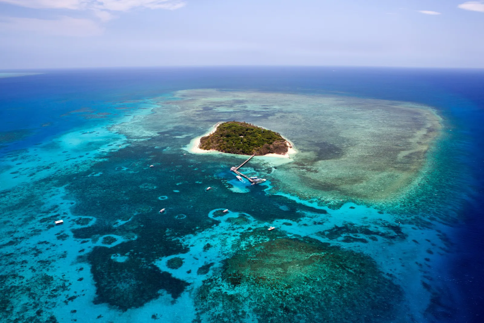 40-Minute Window-Seat Reef Scenic Flight from Cairns