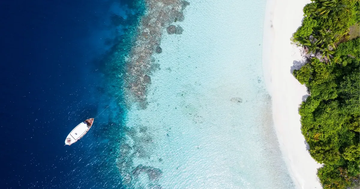 Aerial view of shallow fringing reef between a moored boat and a white-sand beach backed by rainforest, the kind of shoreline you snorkel from on Green Island