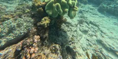Guest photo from review