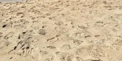 Guest photo from review