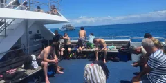 Guest photo from review